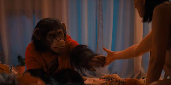 SPOILER Primate: SPOILER Primate: