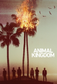 Animal Kingdom - Série TV