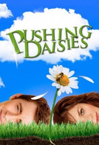 Pushing Daisies - Série TV