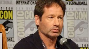 The X-Files : Cold Cases avec David Duchovny et Gillian Anderson